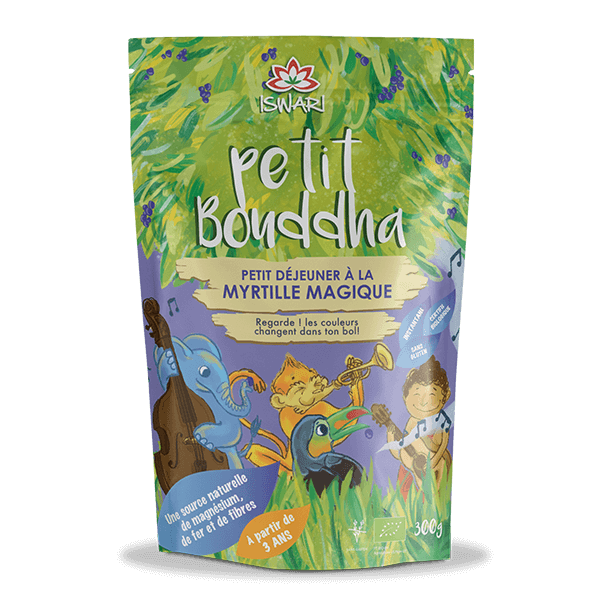 Pequeno Buda - Mirtilo Bio 300g FR