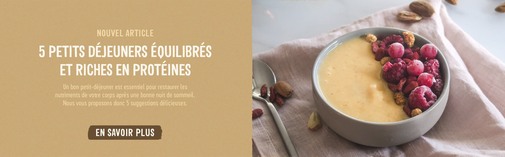 5 recettes de petit-déjeuner équilibré et riches en protéines