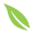 A cink forrása