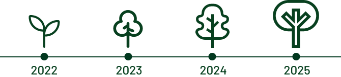 The growth of trees from 2022 to 2025.